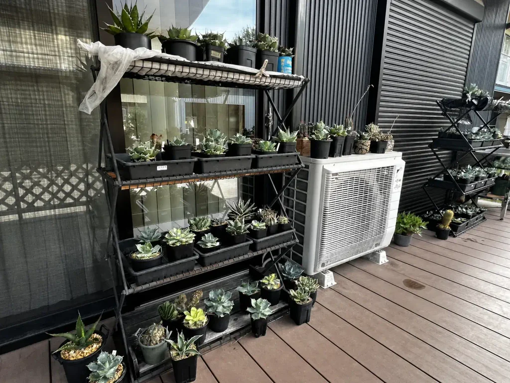 ウッドデッキの園芸棚と多数の鉢植え