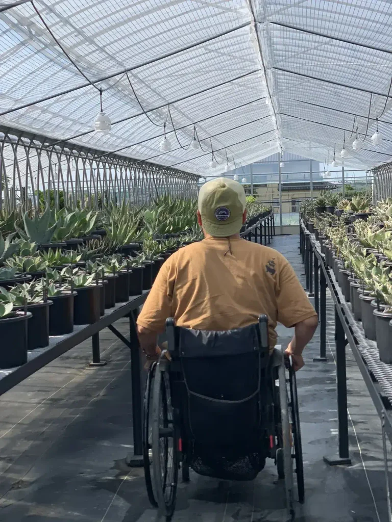車椅子で園芸店の温室に並ぶ植物を見る様子
