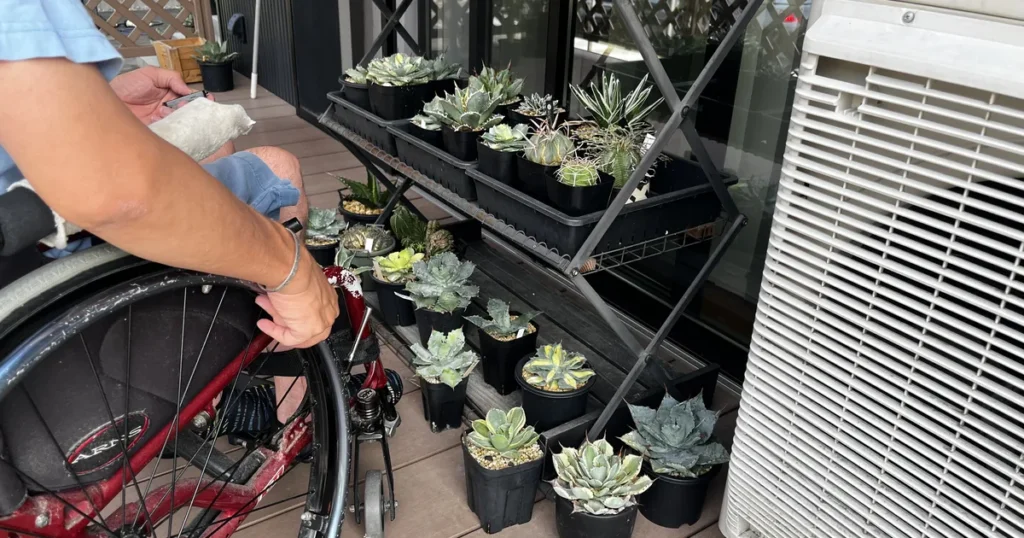 車椅子で植物棚の前に近づき多肉植物を見ている様子