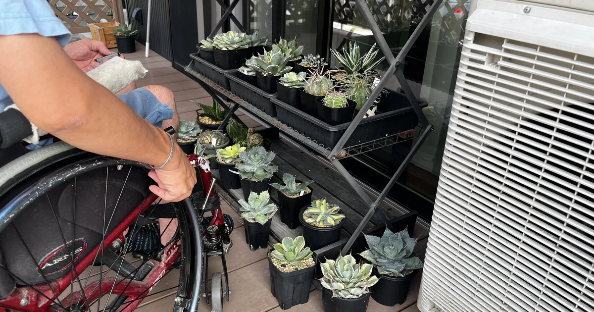 車椅子で植物棚の前に近づき多肉植物を見ている様子