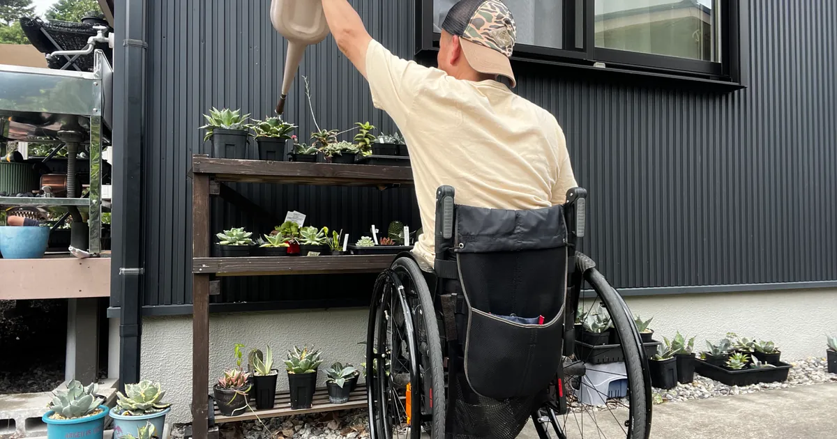 車椅子から4Lジョウロで植物棚へ水やりをする様子