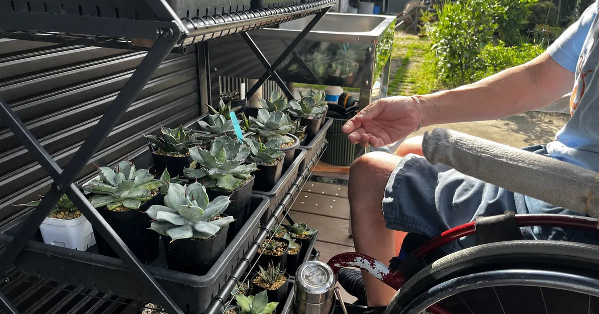 車椅子から手の届く高さに並べた多肉植物