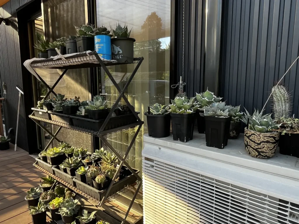 ウッドデッキの園芸棚と室外機の上に分けて置いた鉢植え