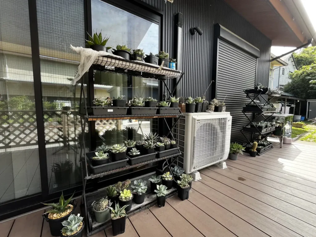 ウッドデッキに設置した園芸棚と鉢植え