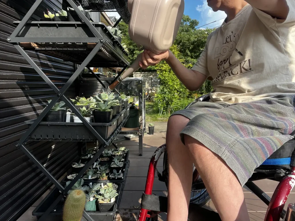 車椅子に座って植物棚の鉢へ水やりをしている様子