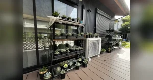 ウッドデッキのパンタグラックハウスに並べた鉢植え