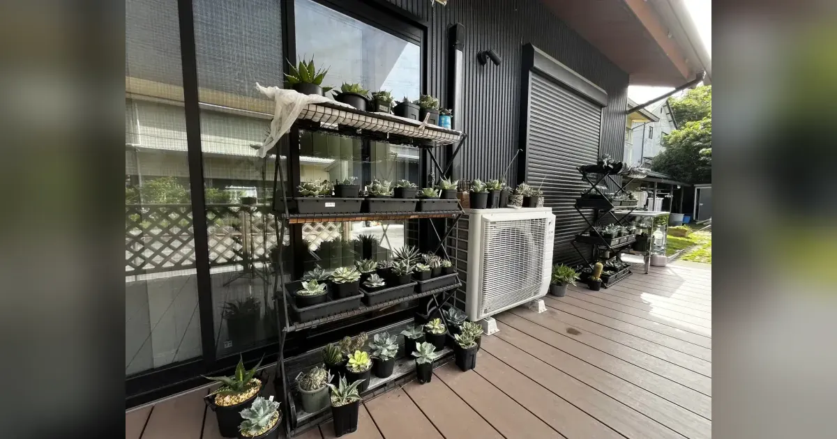 ウッドデッキのパンタグラックハウスに並べた鉢植え