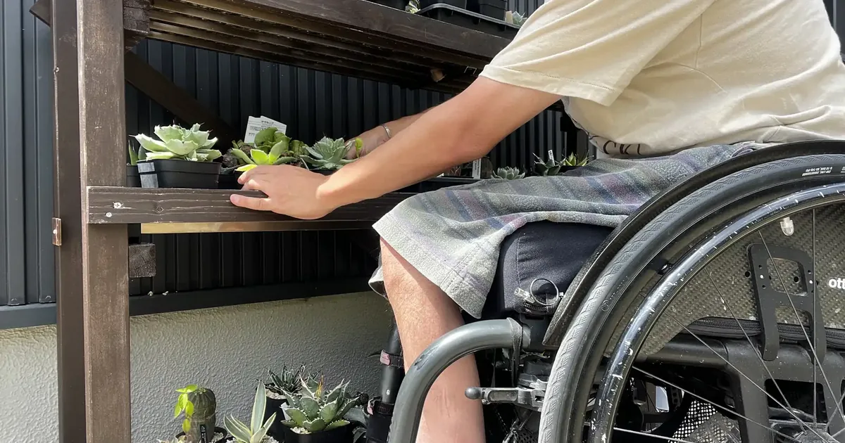 車椅子から植物棚の鉢植えを手入れする様子